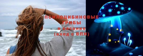 гашик Алзамай