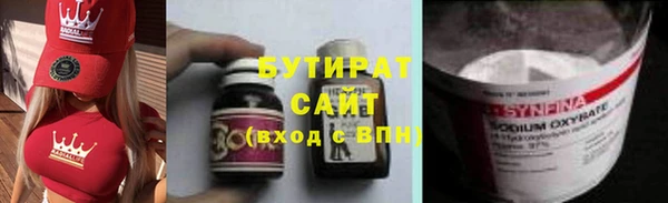 хмурый Аркадак