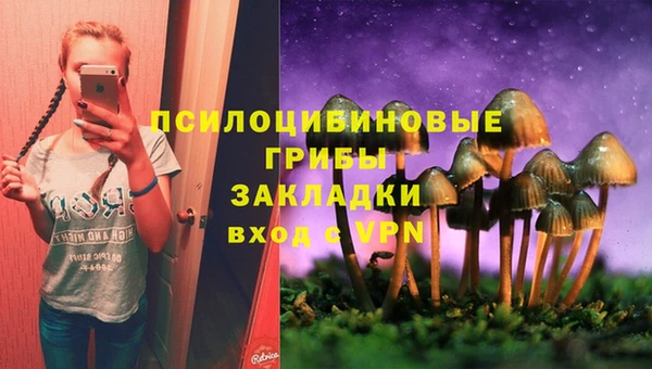spice Алексеевка